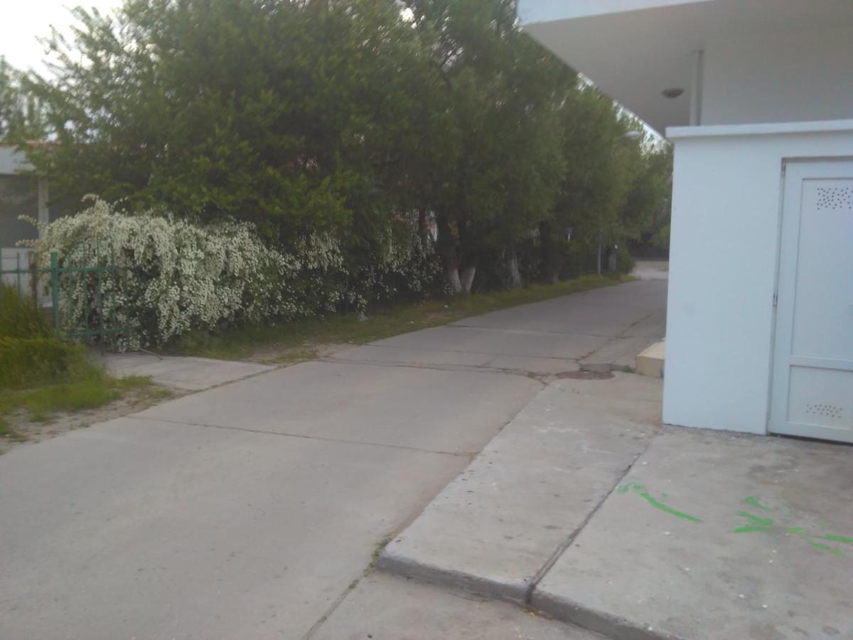 Pensiunea Scoika Steaguri نيبتون المظهر الخارجي الصورة
